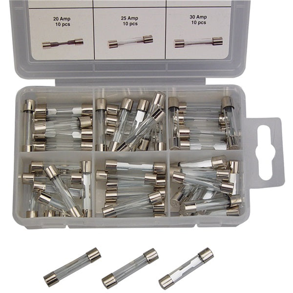 60 Piece Glass Auto Fuse Set