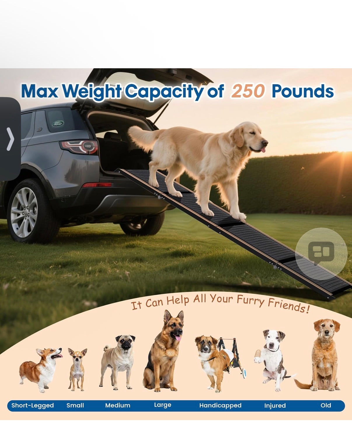 71" Long & 17.3" Wide Folding Dog Ramp for Car, SUV & Truck – Portable Pet Ramp with Non-Slip Surface, Extra Wide Steps for Large Dogs Up to 250LBS