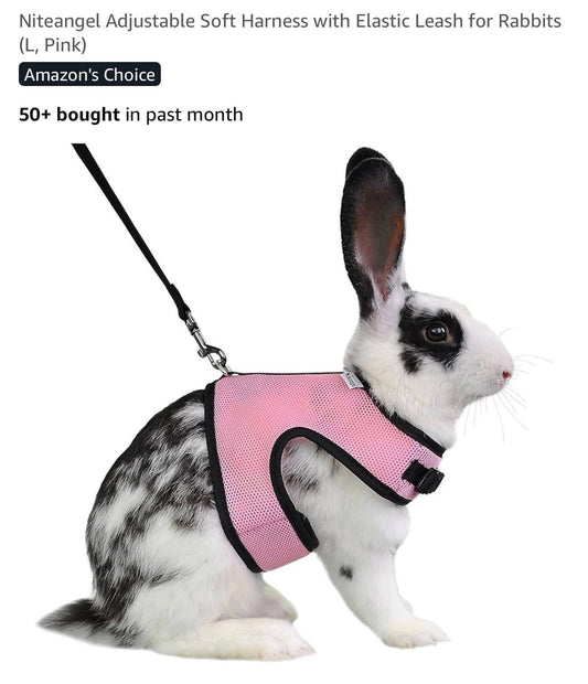 RABBIT HARNESS AND LEASH PINK