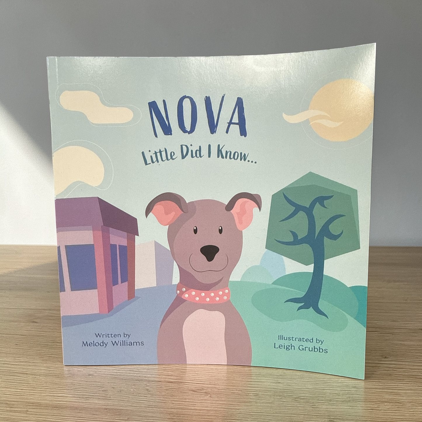 NOVA  LITTLE DID I KNOW  LIFE AND TIMES OF NOVA THE PITBULL